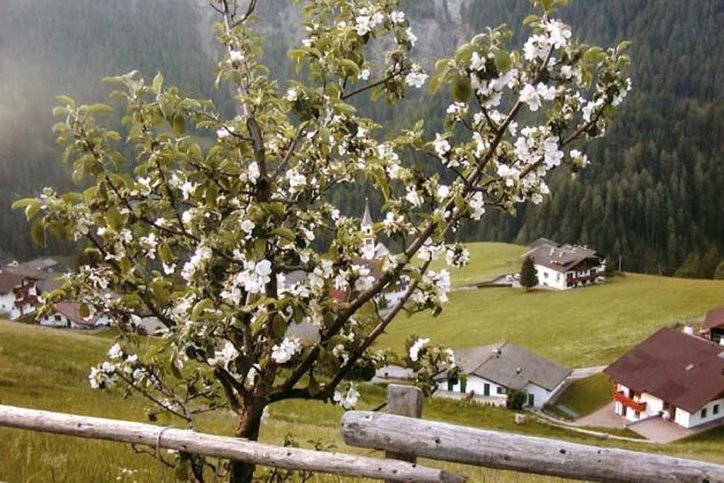 Agriturismo Apartments Tuene Ortisei Exterior foto